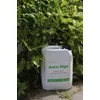 Asco Alga alga alapú biostimuláns-1L