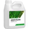 asco alga alga alapú biostimuláns