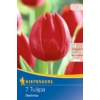 Kép 1/2 - kiepenkerl deshima triumph tulipán virághagymák