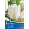 Kép 1/2 - kiepenkerl white dream tulipán virághagymák