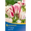 Kép 1/2 - kiepenkerl candy club csokros tulipán virághagymák