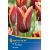 Kép 1/2 - kiepenkerl muvota triumph tulipán virághagymák