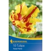 Kép 1/2 - kiepenkerl texas flame papagáj tulipán virághagymák