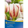 Kép 1/2 - kiepenkerl carnaval de rio kései tulipán virághagymák