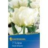 Kép 1/2 - Kiepenkerl Exotic Emperor tulipán virághagymák