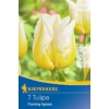 Kép 1/2 - kiepenkerl flaming agrass triumph tulipán virághagymák