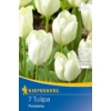 Kép 1/2 - kiepenkerl weißer kaiser fosteriana tulipán virághagymák
