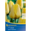Kép 1/2 - kiepenkerl golden apeldoorn tulipán virághagymák