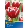 Kép 1/2 - kiepenkerl vampire tulipán virághagymák