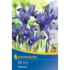 Kép 1/2 -  kiepenkerl iris reticulata harmony írisz virághagymák