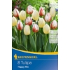 Kép 1/2 - kiepenkerl happy mix vegyes tulipán virághagymák
