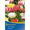 Kép 1/2 - kiepenkerl murillo-mix korai tulipán virághagymák