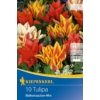 Kép 1/2 - Kiepenkerl balkonzauber mix vegyes csokros tulipán virághagymák