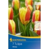 Kép 1/2 - kiepenkerl stresa kaufmann tulipán virághagymák