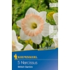 Kép 1/2 - Kiepenkerl British Gamble nárcisz virághagymák