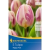 Kép 1/2 - kiepenkerl happy feet tulipán virághagymák