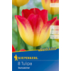 Kép 1/2 - kiepenkerl tulipa suncatcher tulipán virághagyma
