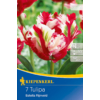 Kép 1/2 - kiepenkerl tulipa estella rijnveld papagáj tulipán virághagymák
