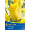 kiepenkerl  strong gold triumph tulipán virághagymák