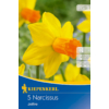 Kép 1/2 - kiepenkerl narcissus jetfire nárcisz virághagymák