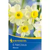 kiepenkerl narcissus minnow botanikai nárcisz virághagymák