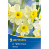 Kép 1/2 - kiepenkerl narcissus minnow botanikai nárcisz virághagymák