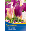 Kép 1/2 - kiepenkerl tulipa landlicher charme tulipán hagymák