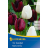 Kép 1/2 - kiepenkerl tulipa night and day tulipán virághagymák