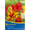 Kép 1/2 - kiepenkerl tulipa garden fire tulipán virághagymák