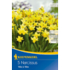 Kép 1/2 - kiepenkerl narcissus tete a tete botanikai nárcisz virághagymák