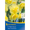 Kép 1/2 - kiepenkerl yellow cheerfulness nárcisz virághagymák