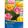Kép 1/2 - kiepenkerl bright harmony tulipán virághagymák