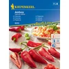 kiepenkerl amboy pepperoni vetőmag F1