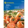 kiepenkerl ananas húsparadicsom vetőmag