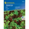 kiepenkerl babyleaf-mix tépősaláta vetőmag keverék