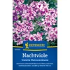 kiepenkerl nachtviole hölgyestike vetőmag