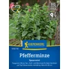 kiepenkerl spearmint borsmenta vetőmag