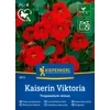 kaiserin victoria sarkantyúvirág vetőmag