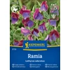 kiepenkerl ramia illatos lednek vetőmag