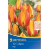 Kép 1/2 - kiepenkerl flair korai tulipán hagymák