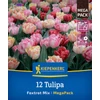  Kiepenkerl Foxtrot korai teltvirágú tulipán viraghagyma