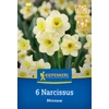 kiepenkerl narcissus minnow botanikai nárcisz virághagymák