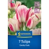 kiepenkerl candy club csokros tulipán virághagymák