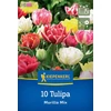 kiepenkerl murillo-mix korai tulipán virághagymák