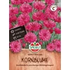 sperli rote lola pink búzavirág vetőmag