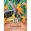 sperli papagájvirág vetőmag