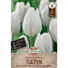 Sperli Premium Hakuun darwin-hibrid tulipán virághagyma