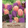 Sperli Magic Charme vegyes tulipán virághagymák