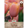  Sperli Menton kései tulipán virághagyma