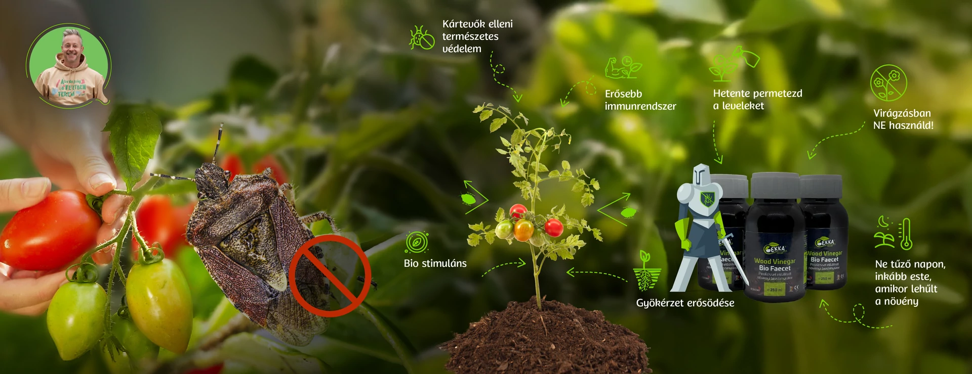 Természetes védelem a poloskák ellen - a FAECET
